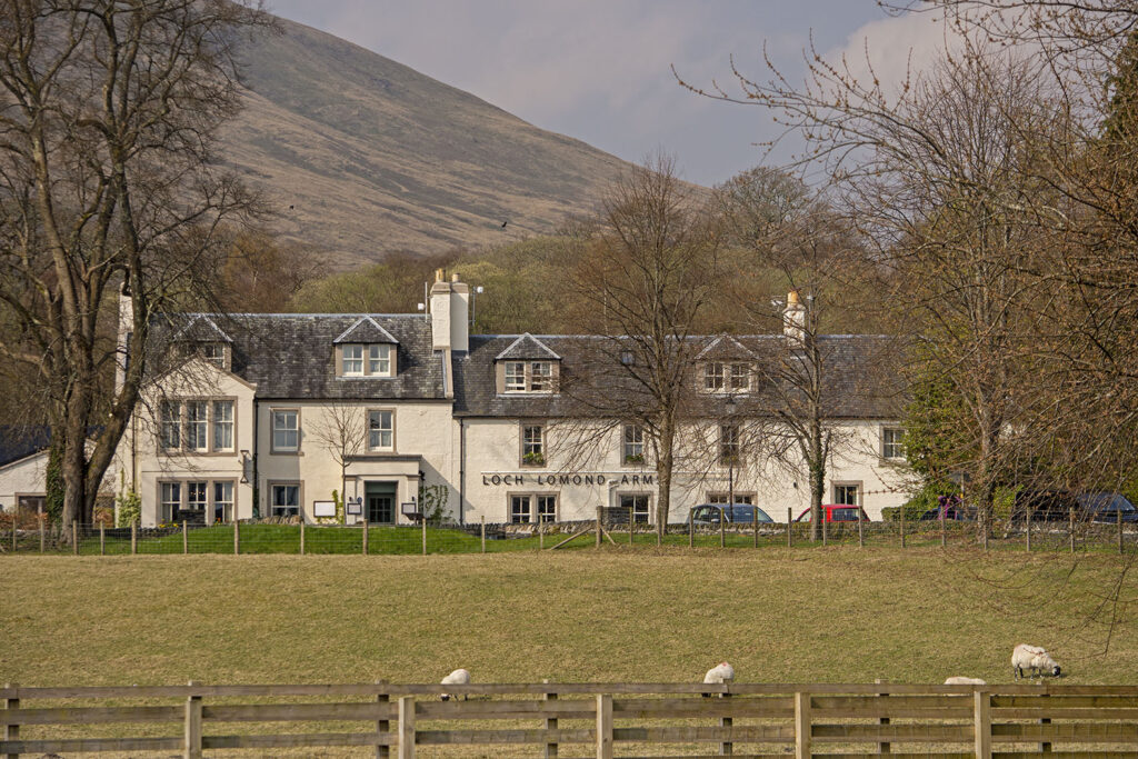 Loch Lomond Arms, Luss: Exterior with sheep in foreground